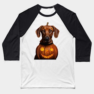 Funny Pumpkin Rhodesian ridgeback Halloween Baseball T-Shirt